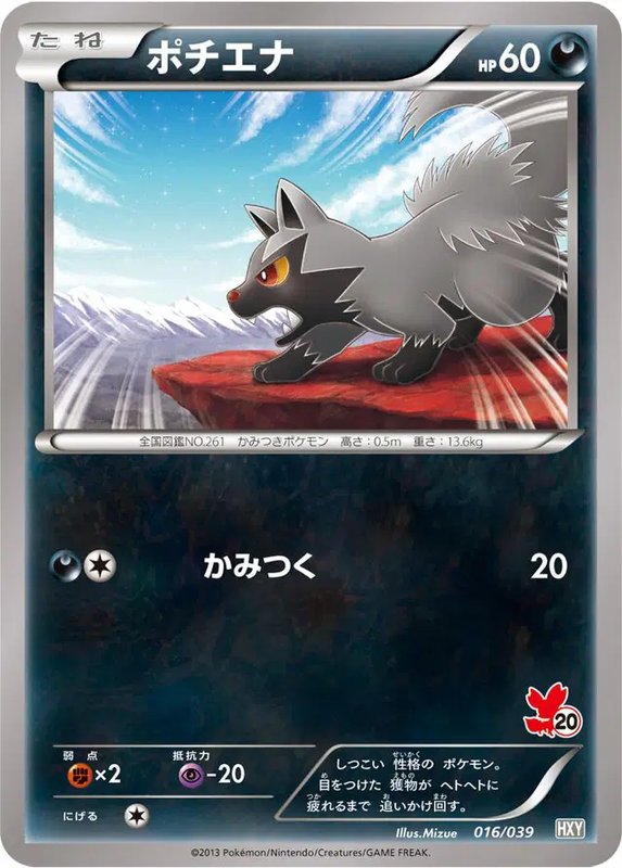 Poochyena (JP) — (XY Beginning Set, Kalos Starter Set) 016/039