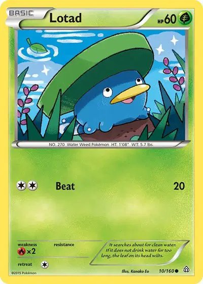 Lotad — Primal Clash 10