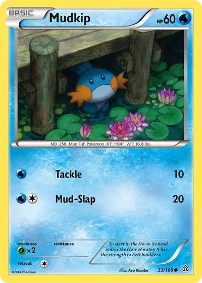 Mudkip — Primal Clash 33