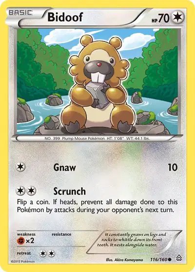 Bidoof — Primal Clash 116