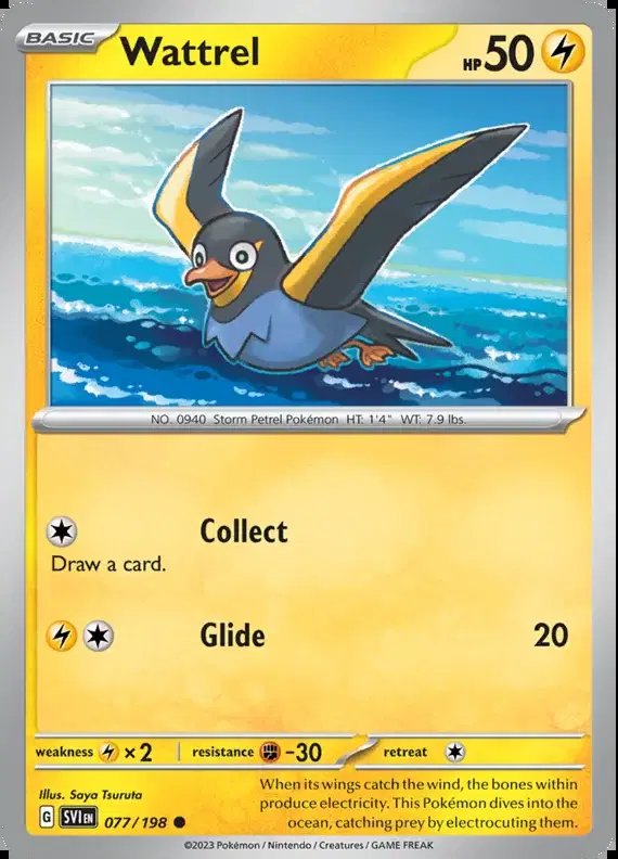 Wattrel — Scarlet & Violet Base Set 077/198
