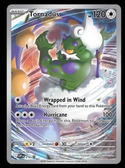 Tornadus - 210 — Scarlet & Violet Promo 210