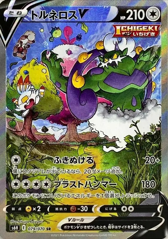 Tornadus V (JP) — Silver Lance 079/070