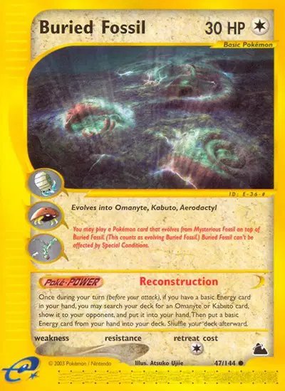 Buried Fossil — Skyridge 47