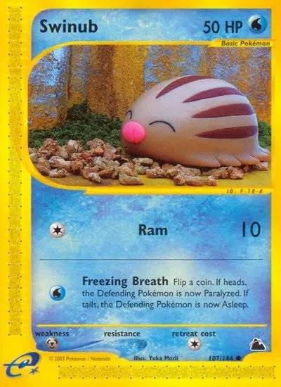 Swinub (107) — Skyridge 107