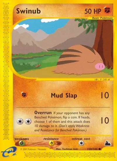 Swinub (108) — Skyridge 108