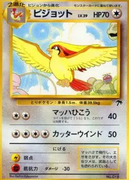 Pidgeot (JP) — Southern Islands 