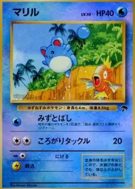Marill (JP) — Southern Islands 