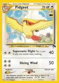 Pidgeot — Southern Islands 2