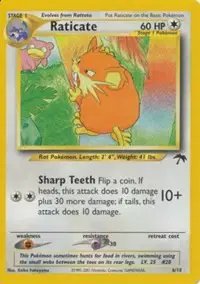 Raticate — Southern Islands 6
