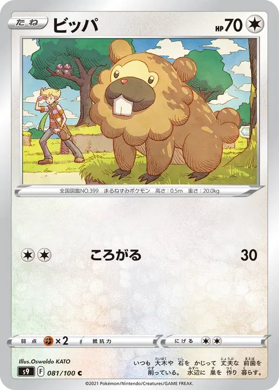 Bidoof (JP) — Star Birth 081/100