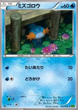Mudkip (JP) — Tidal Storm 012/070
