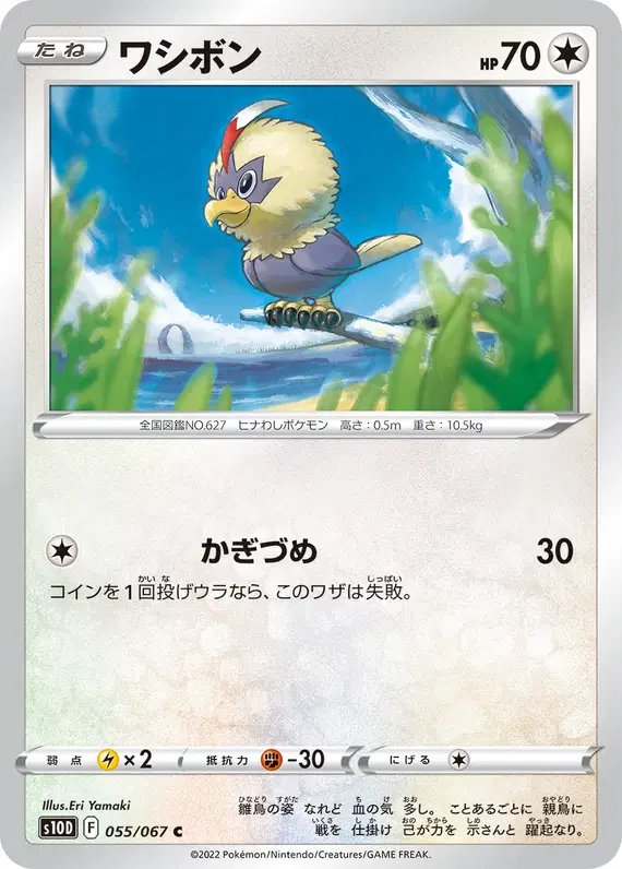 Rufflet (JP) — Time Gazer 055/067