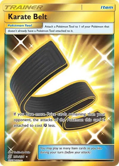 Karate Belt (Secret) — Unified Minds 252/236