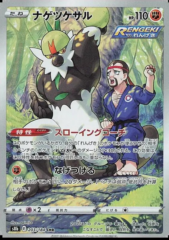 Passimian (JP) — VMAX Climax 203/184