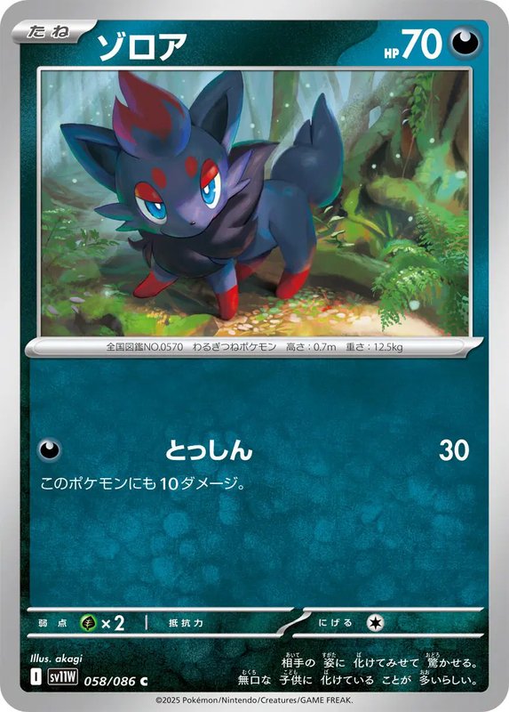 Zorua (JP) — White Flare 058/086