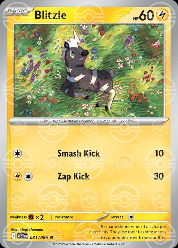 Blitzle (Poke Ball Pattern) — White Flare 031/086