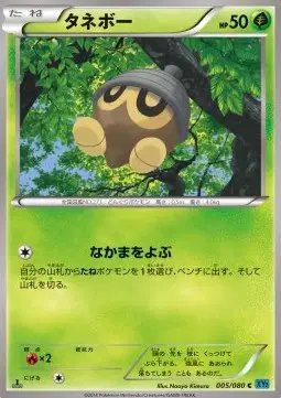Seedot (JP) — Wild Blaze 005/080