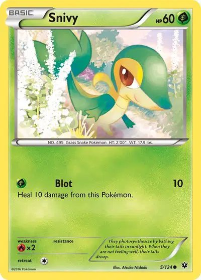 Snivy — XY - Fates Collide 5