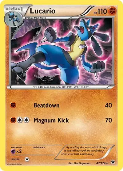 Lucario (47) — XY - Fates Collide 47