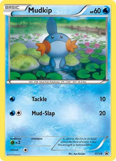 Mudkip — XY Promos XY38
